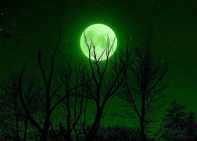 Full Moon