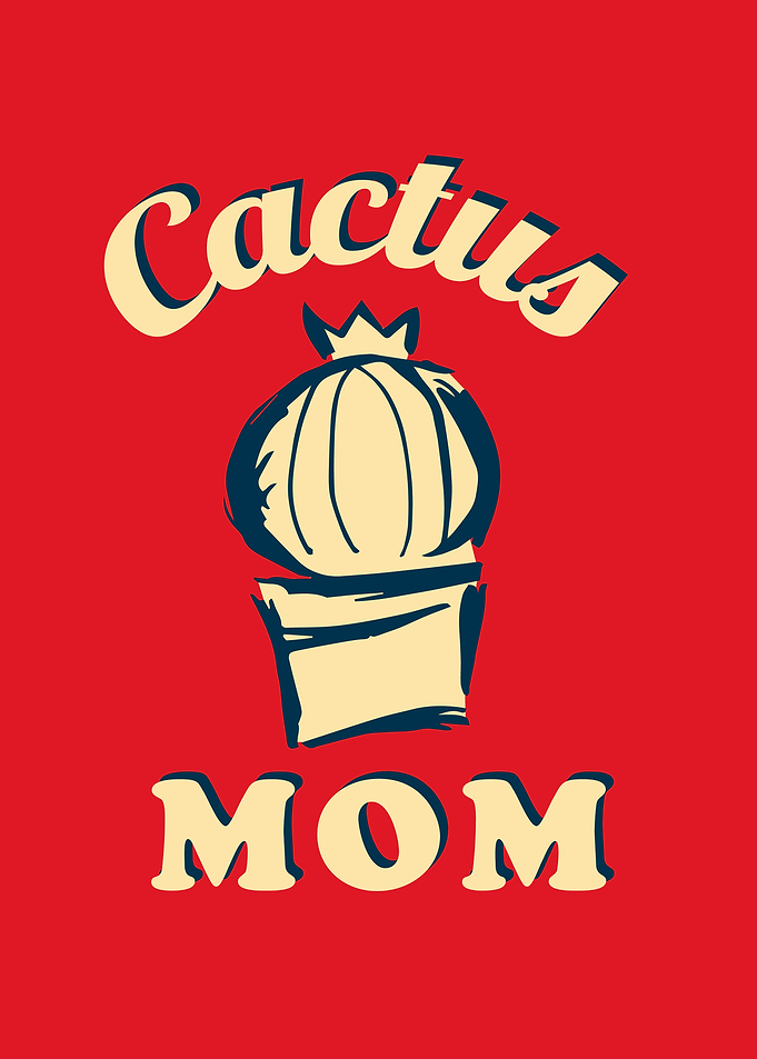 Vintage Cactus Rainbow 26