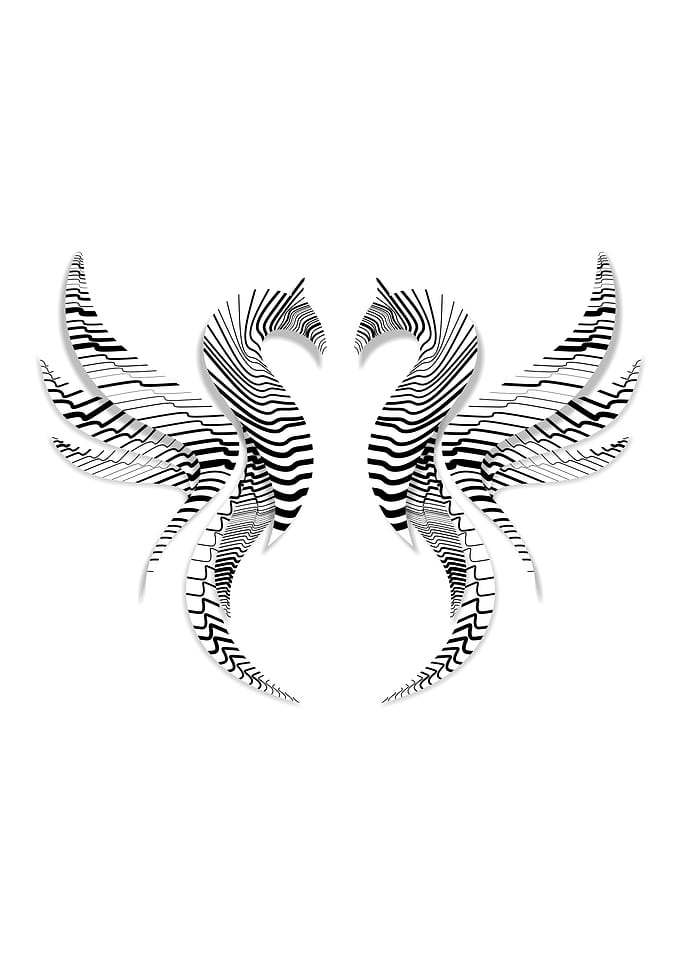 Minimalist