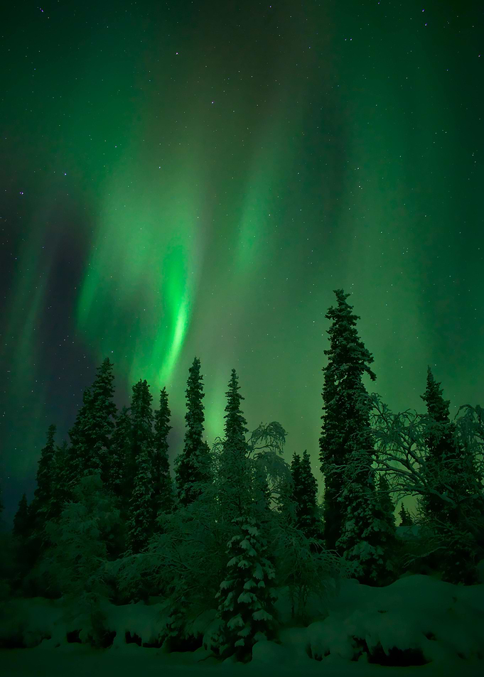 Magical lights