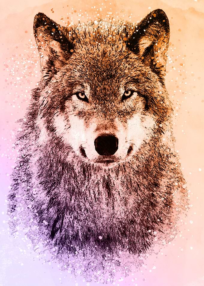 wolf face