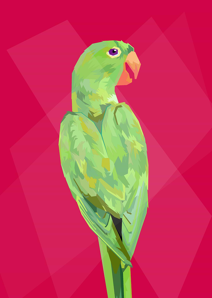 amazing lovebird