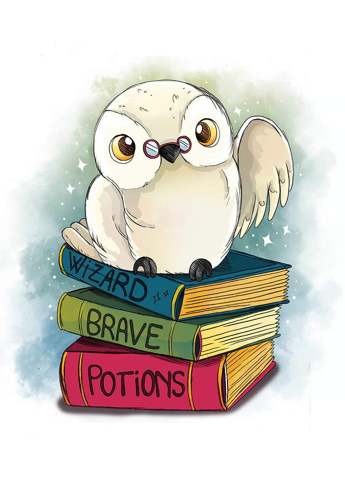 Magic Owl