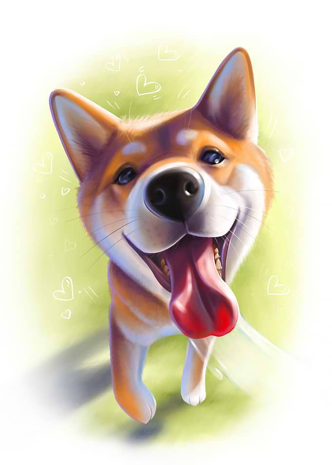 Cute Shiba Dog