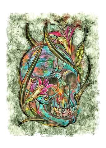 Skull