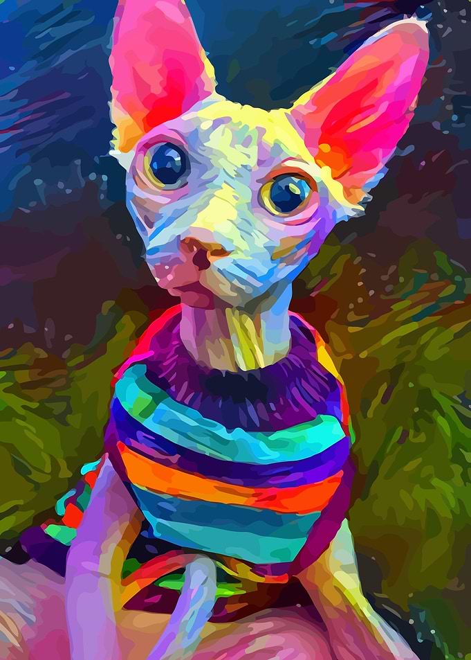 Sphynx Cat