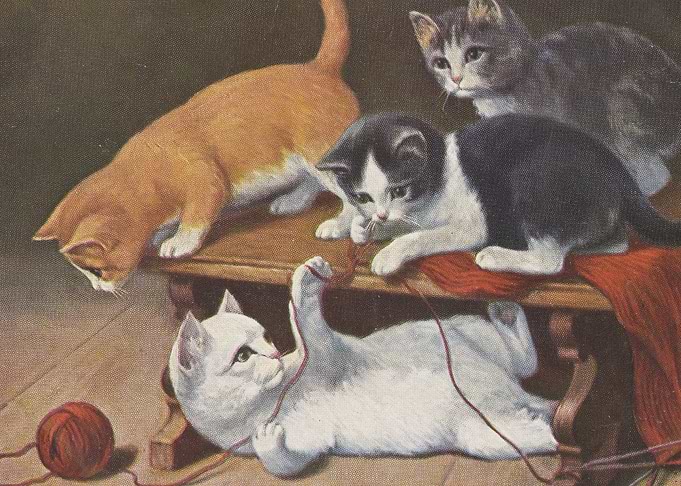 Happy kittens