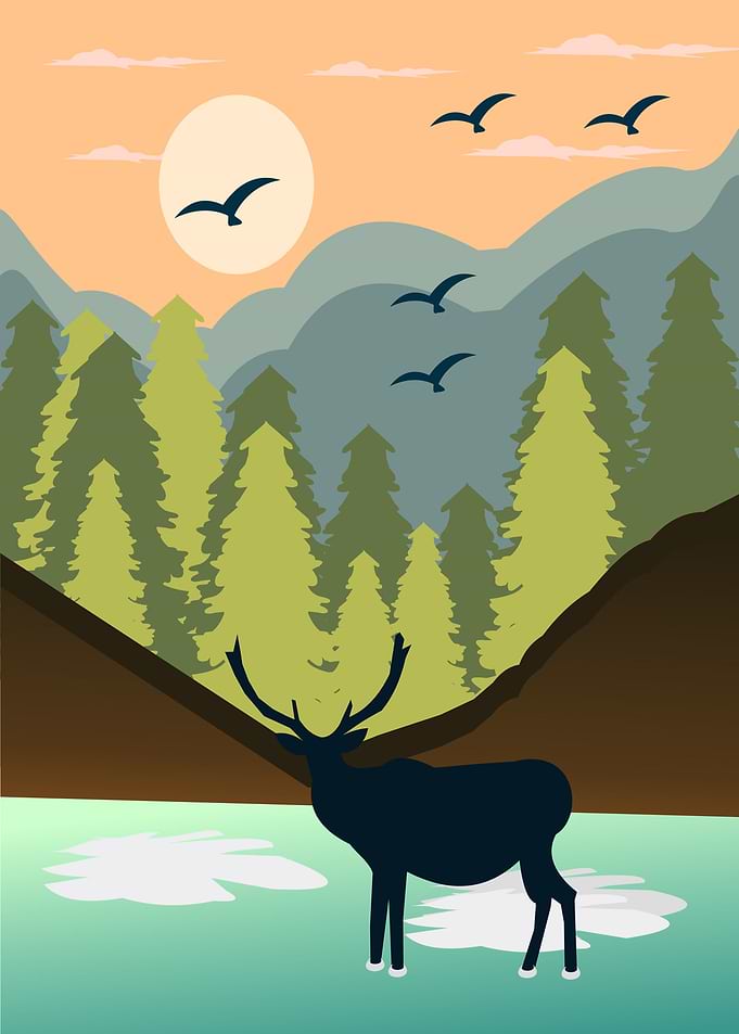 Summer Mountain With Trees
