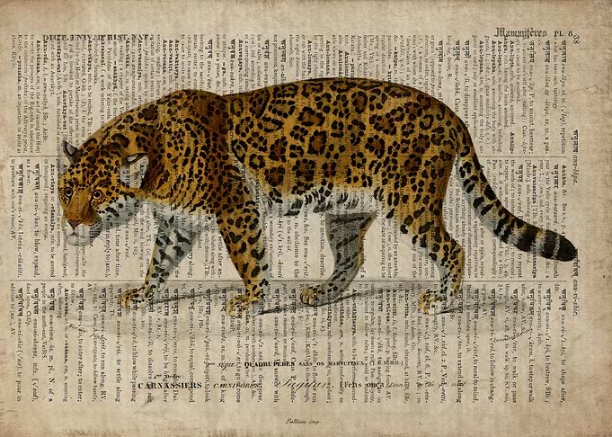 A jaguar on old paper