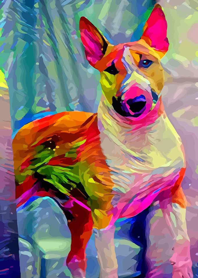 Bull Terrier