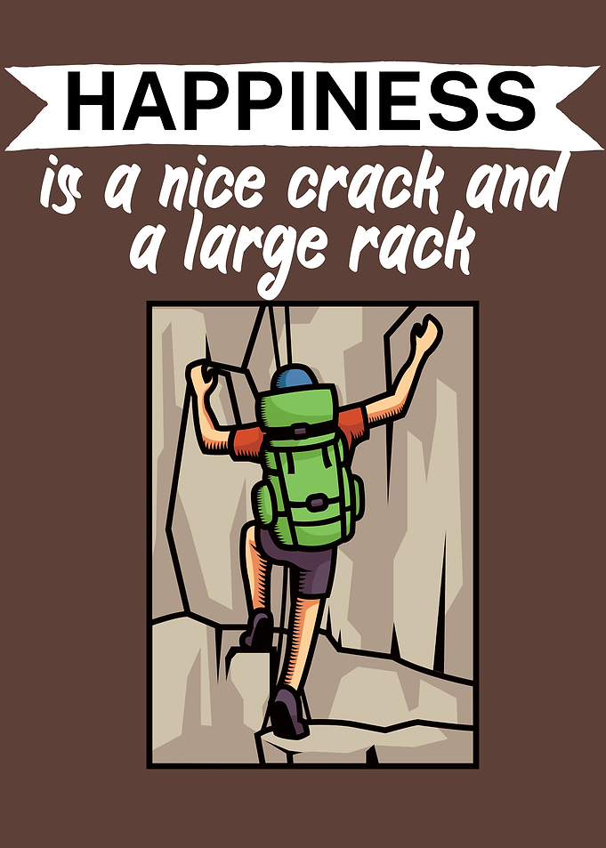 Climbing crack rack