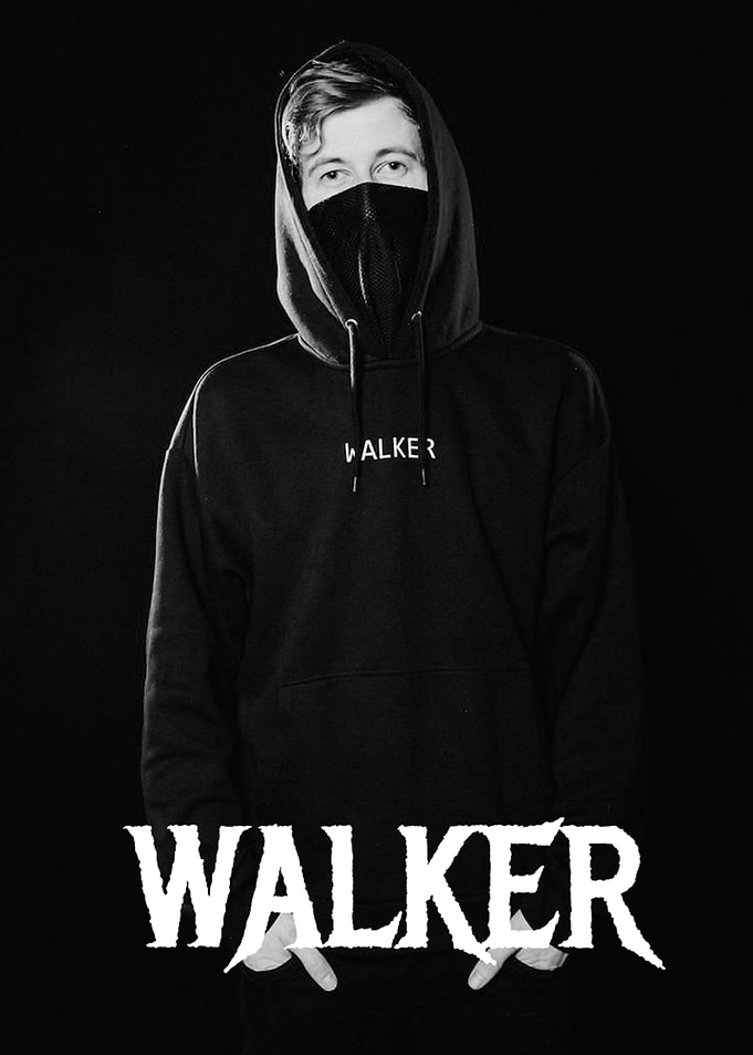 alan walker poster