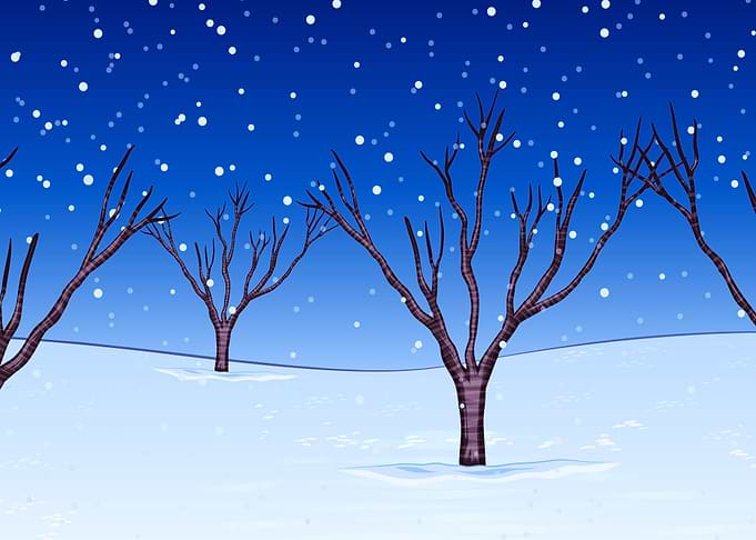 Flat of Snow