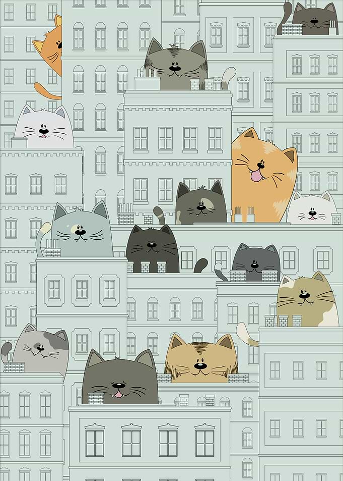 Cats and the city