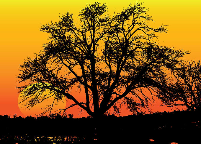 Winter sky on Fire