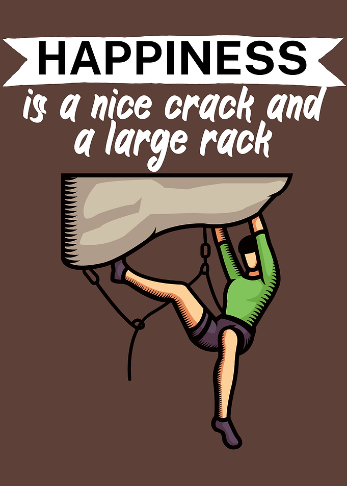 Climbing crack rack