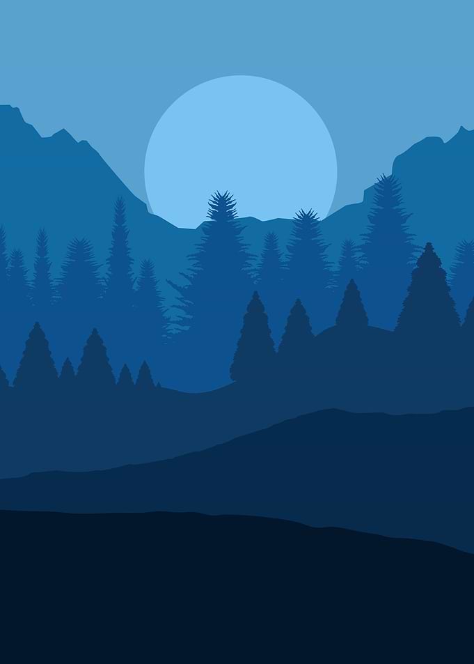 Blue Forest