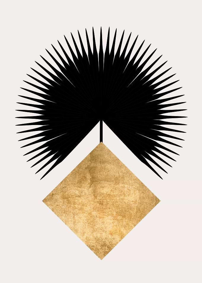 Shape No14