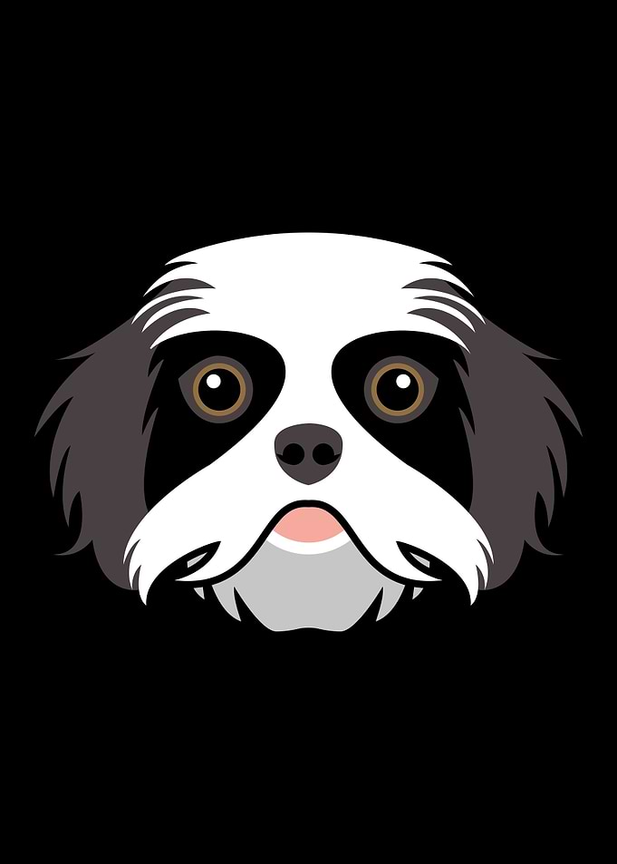 Shih Tzu Dog Face