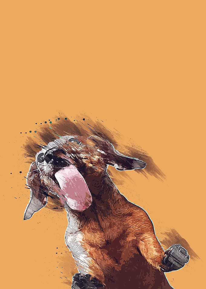 Happy Dog