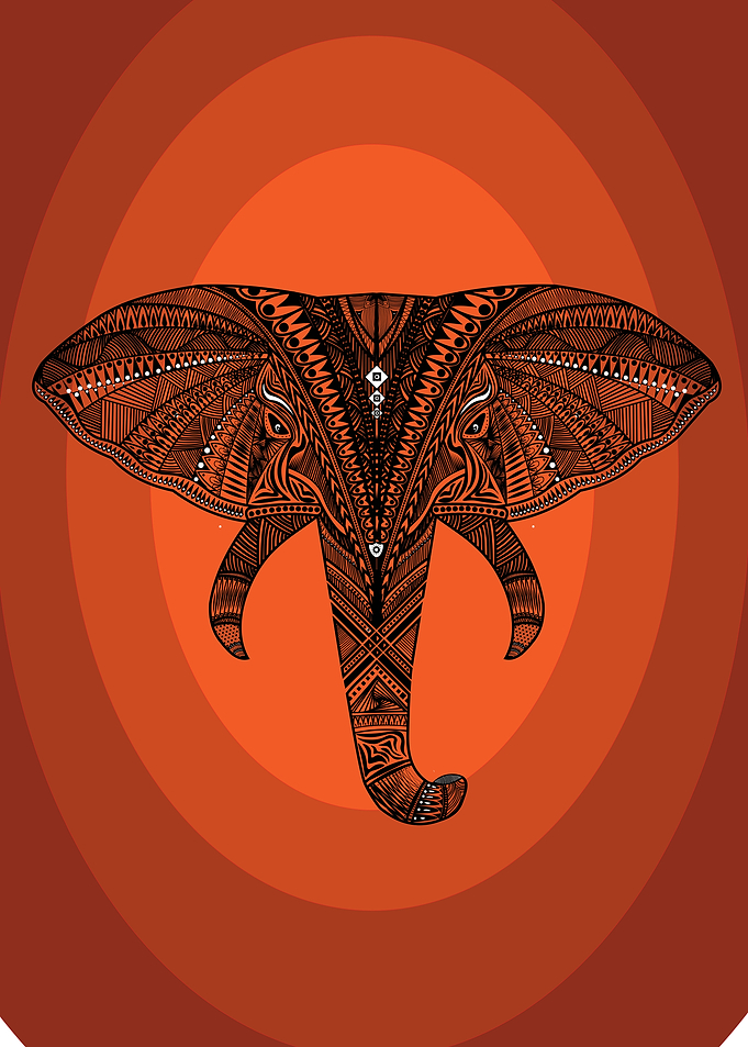 Elephant orange