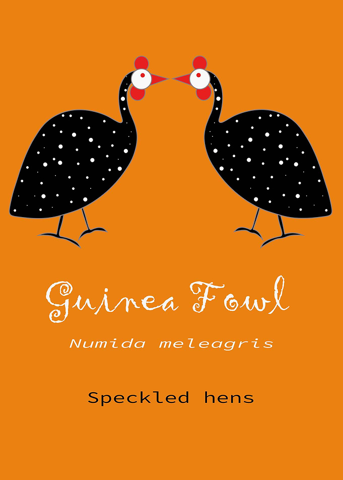 Guinea Fowl