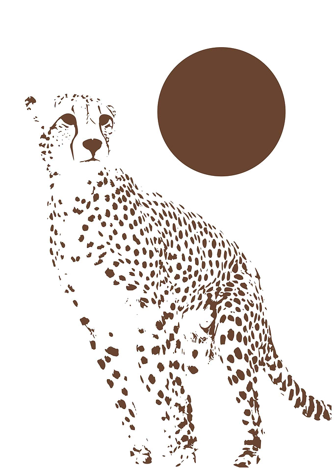 Big Cat