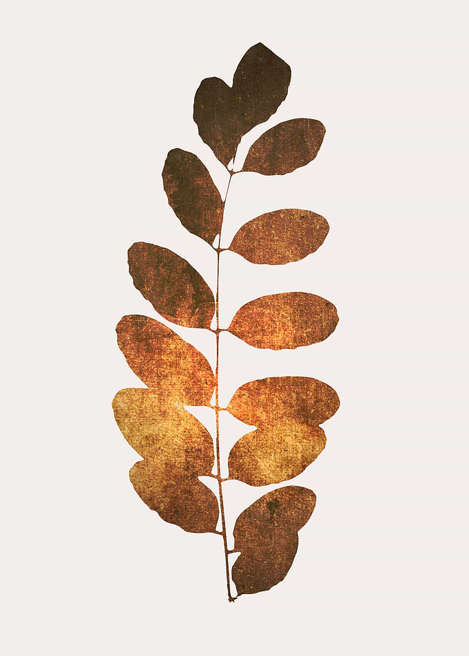 Leaf Print