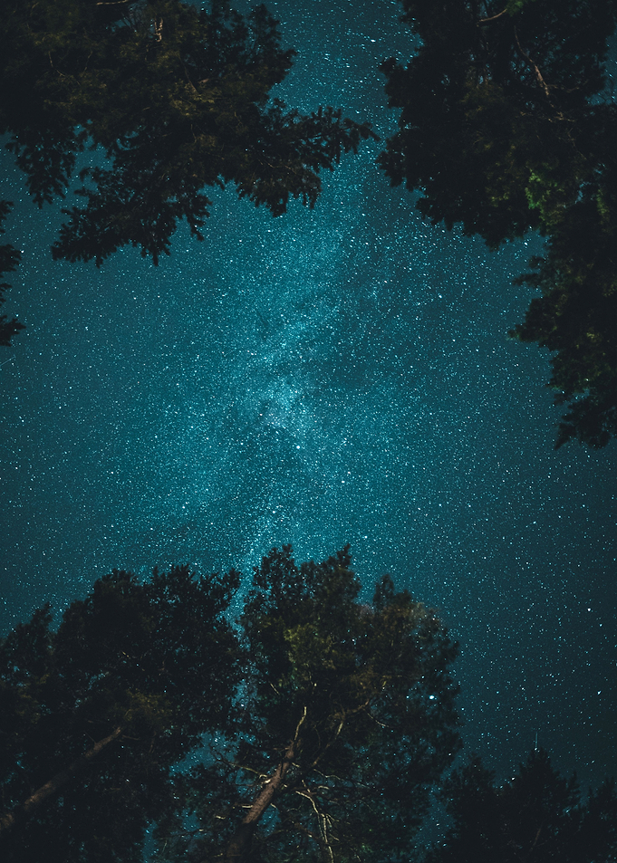 Straight up at Night