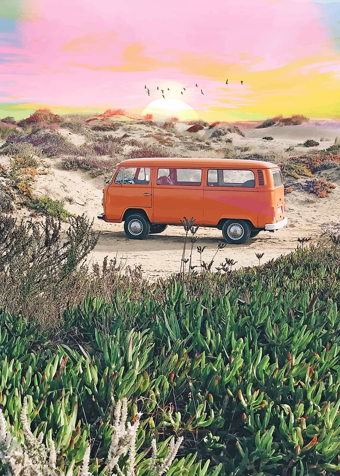 Summer Adventure