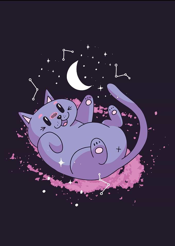 Cat in space