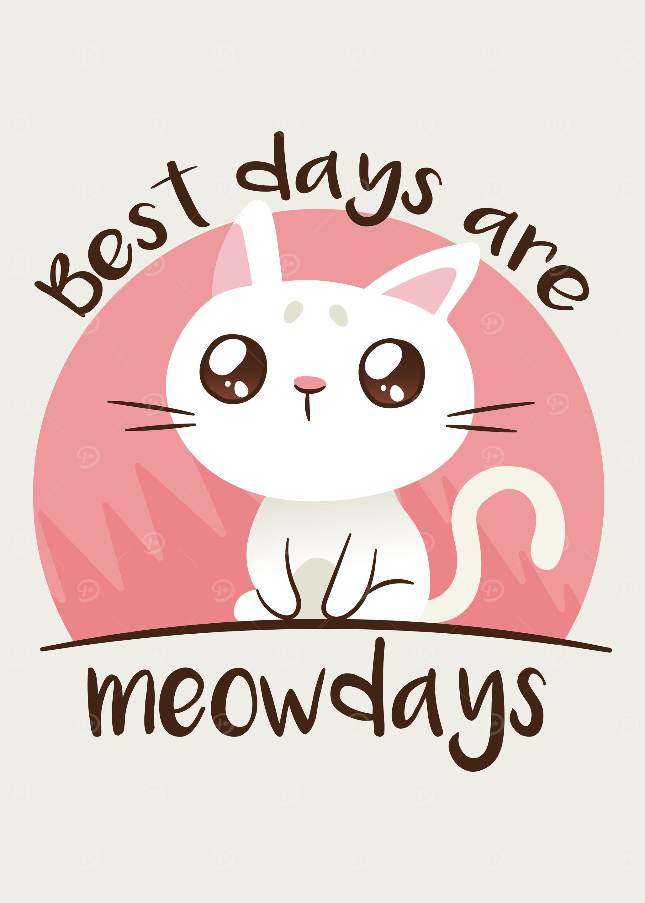 Cute White Cat