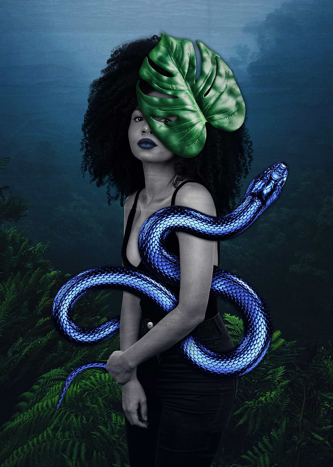 Snake Fairy