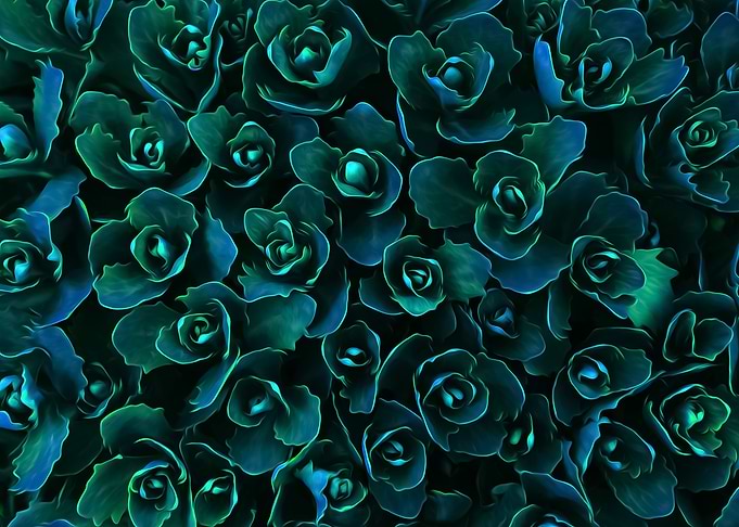 Green Twisted Plants