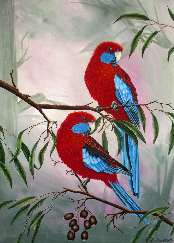 Rosellas