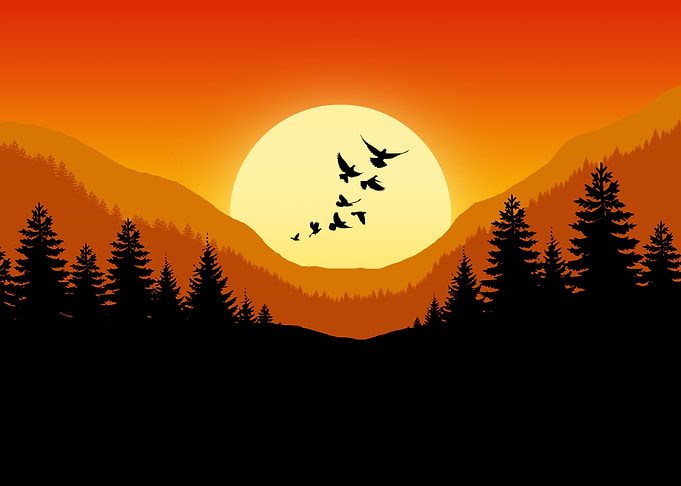 Flat Landscape Sunset