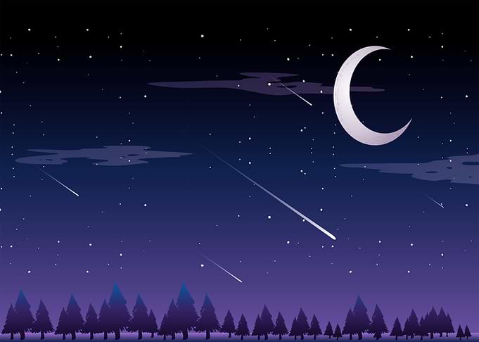 Flat Jungle in Night