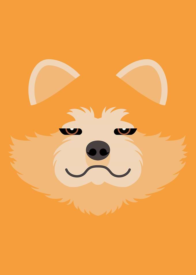 Akita Inu Dog Face