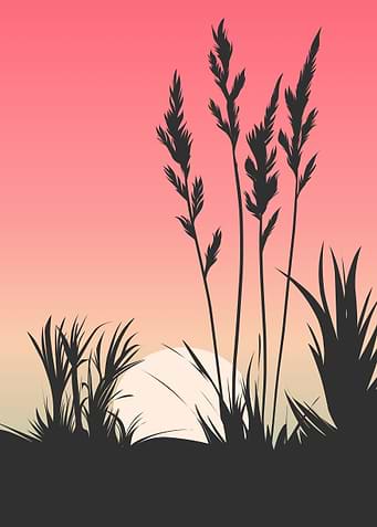 sunset minimalist