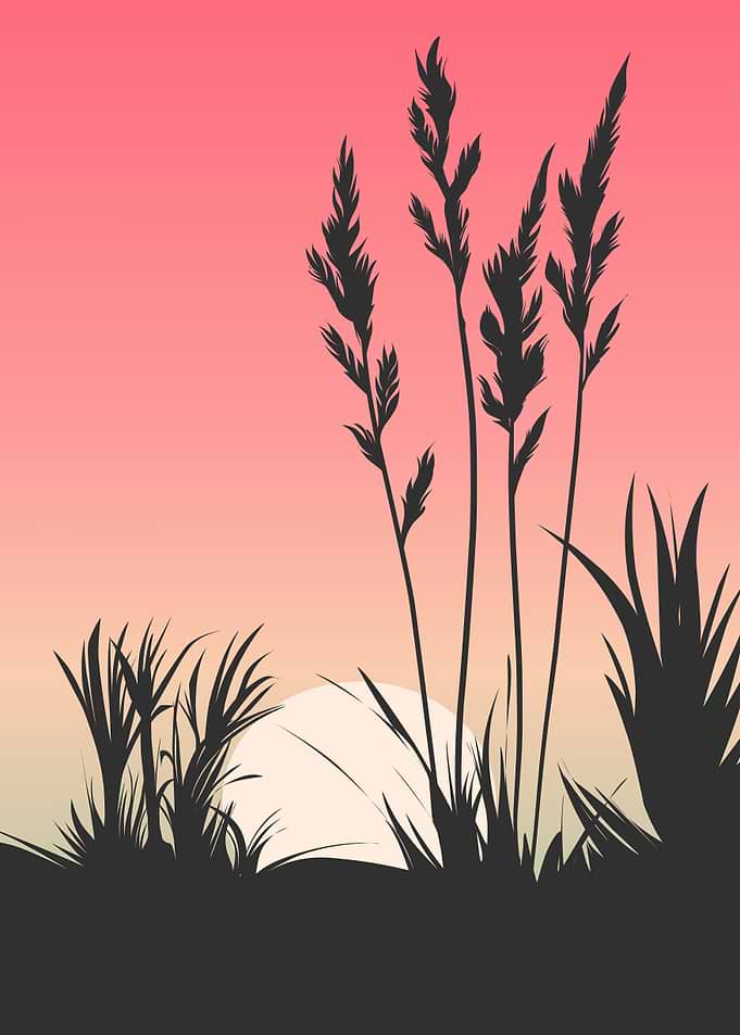 sunset minimalist