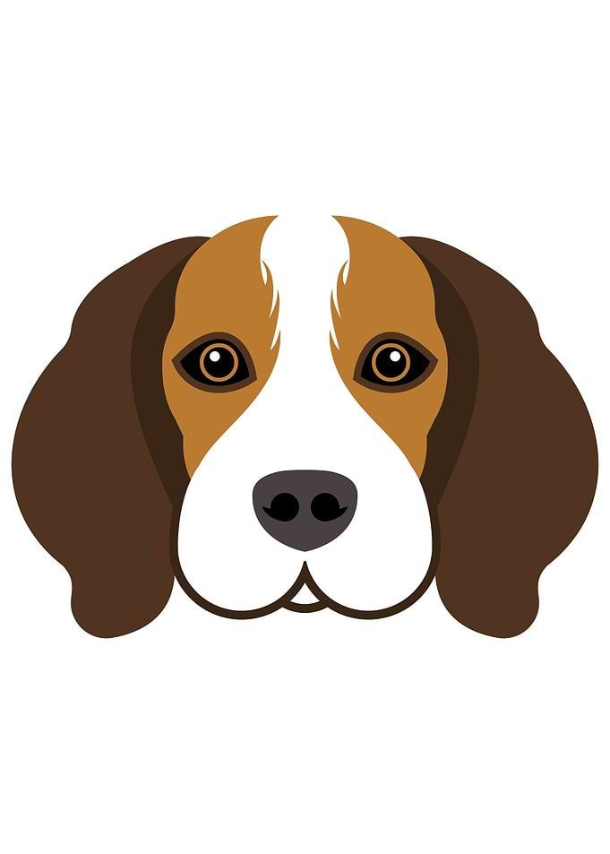Beagle Dog Face