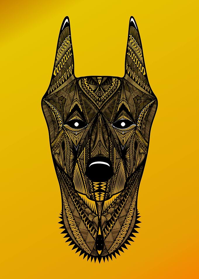 Doberman Pinscher gold