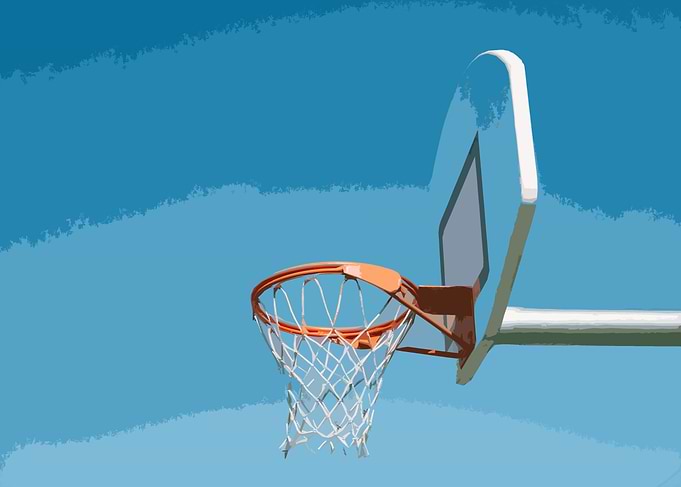 Basketball Net