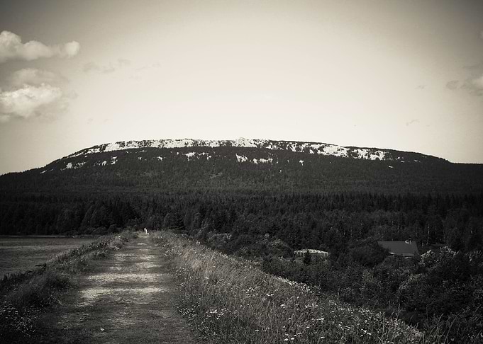 Road to mountain