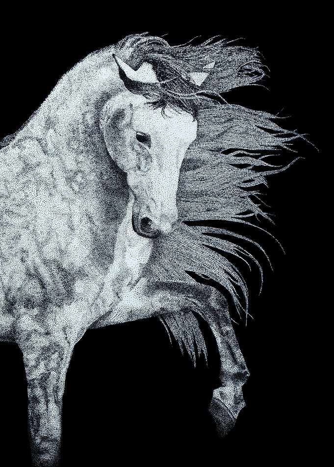 Mr Horse