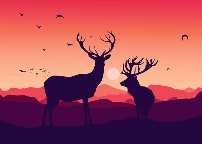 Great Art Deer
