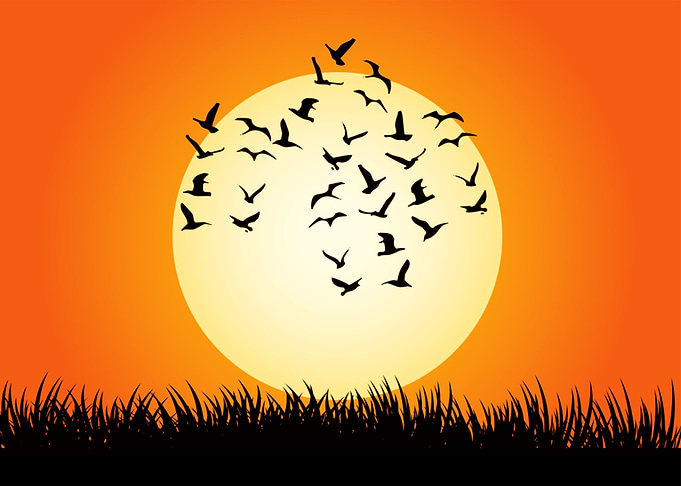 Great Art Sunset
