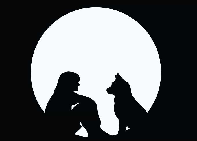 little boy and his dog