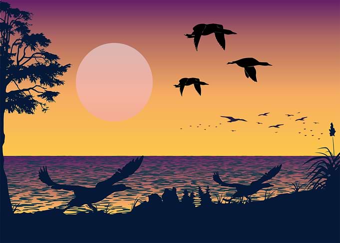 Great Art Nature Sunrise