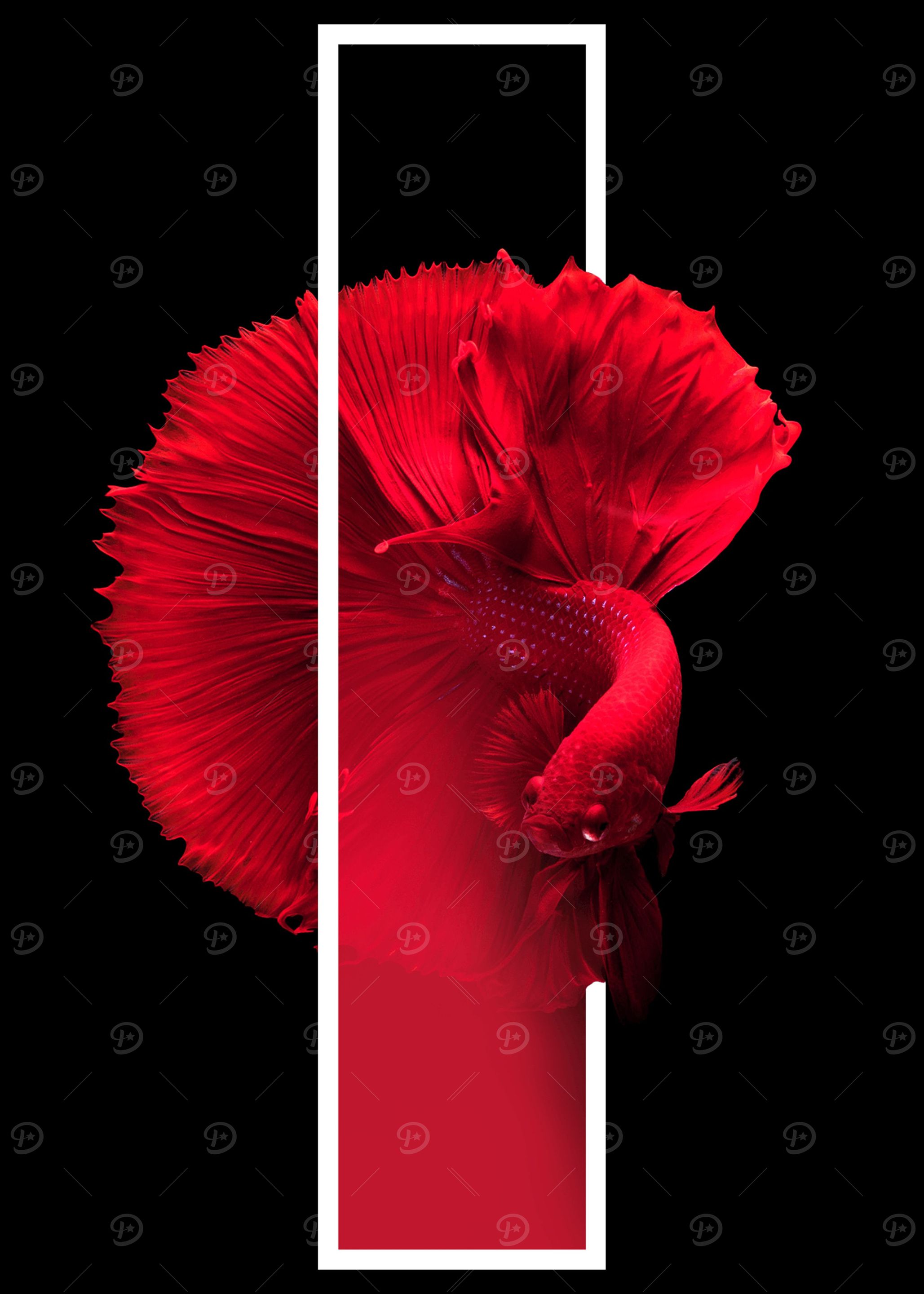 Singularity